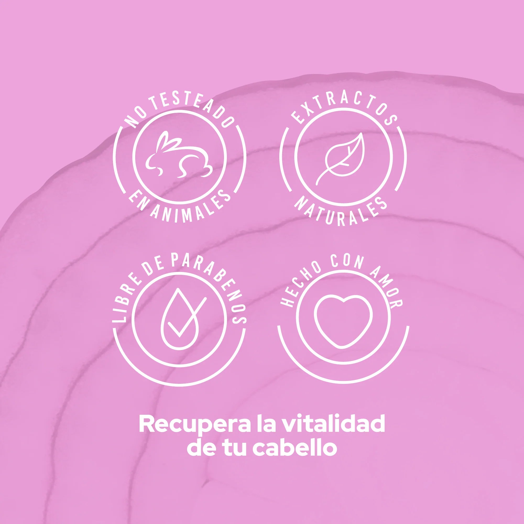 Acondicionador Cebolla Anyeluz X500Ml