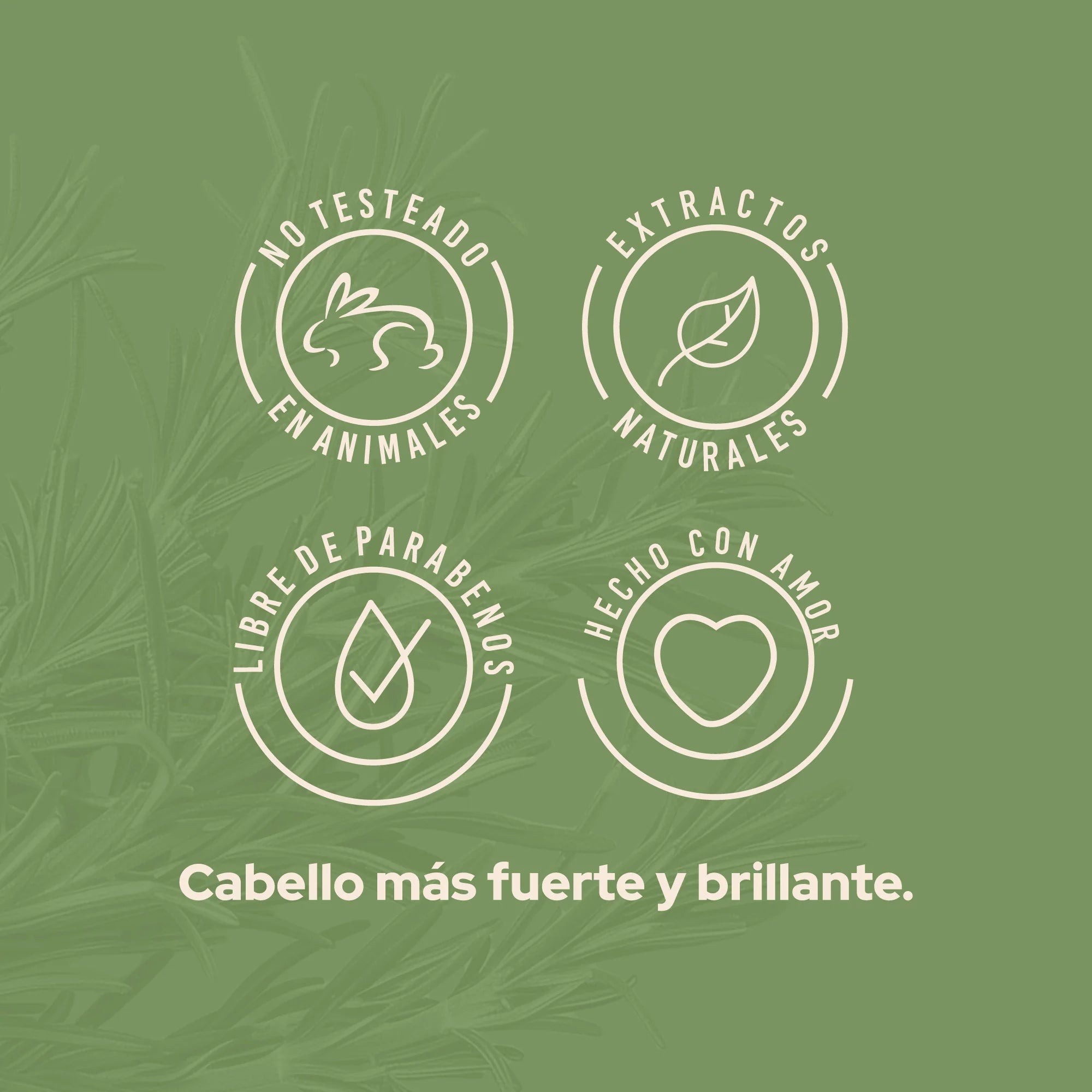 Acondicionador Fortalecedor de Romero Anyeluz 500 ml