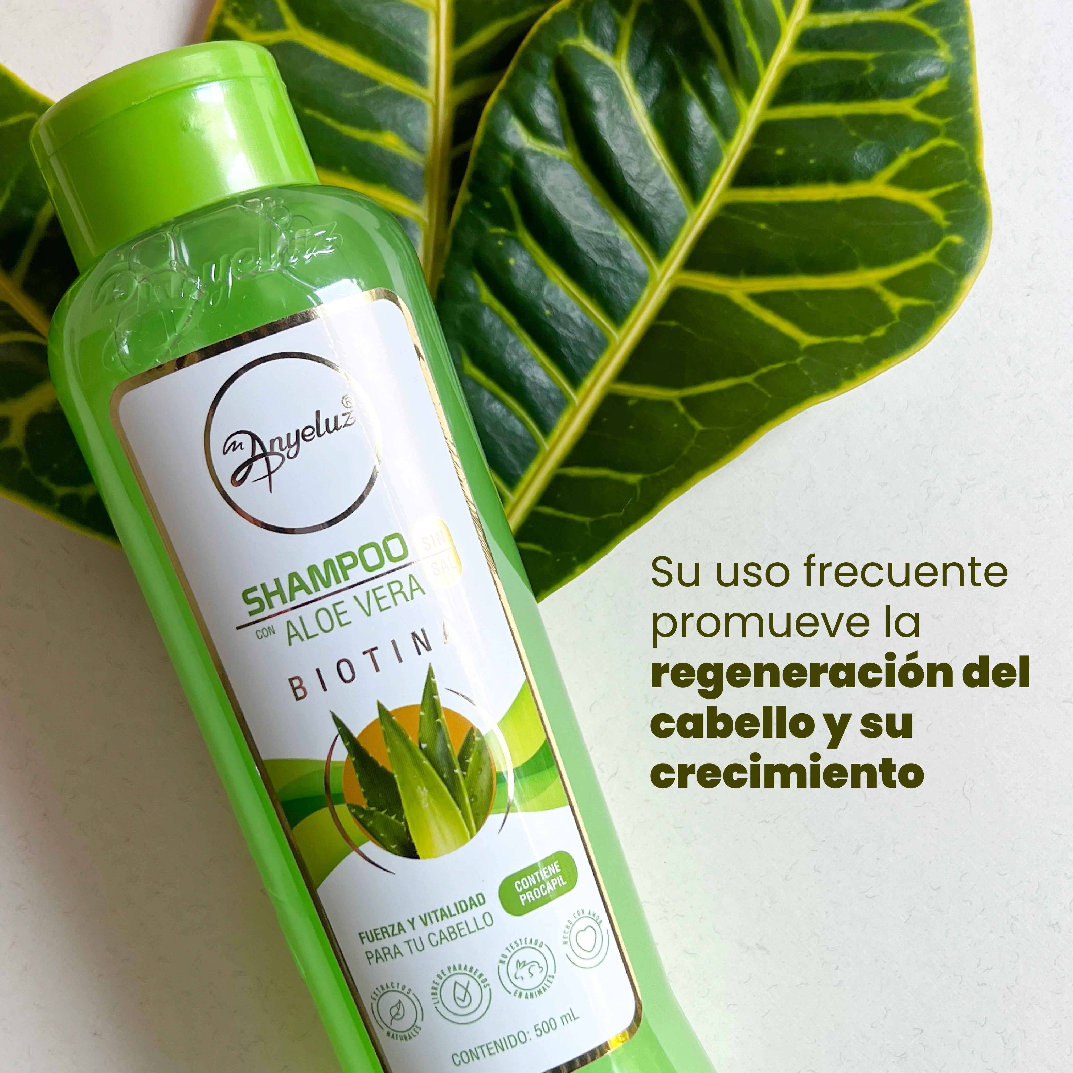 Shampoo Hidratante de Aloe Vera Anyeluz 500 ml