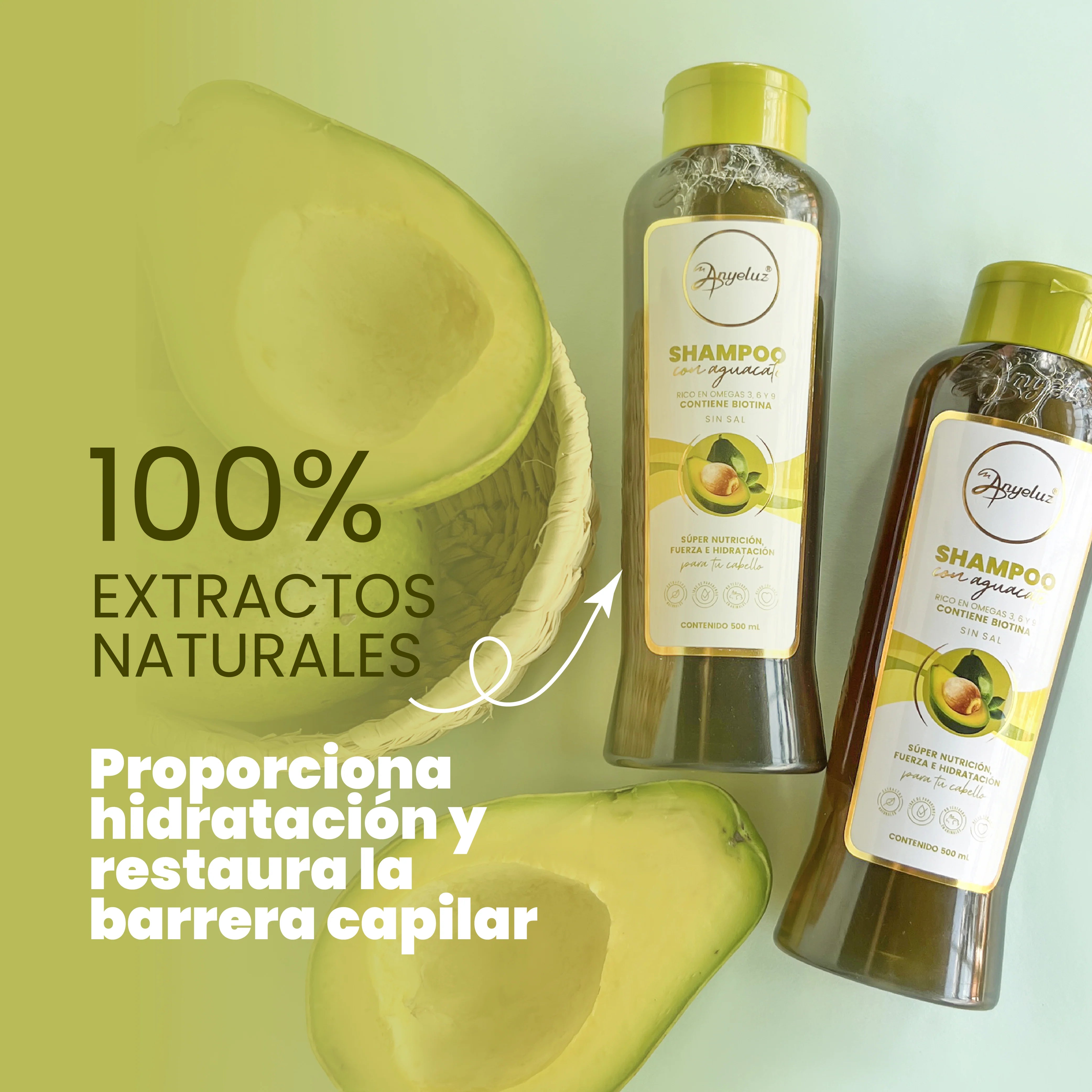 Shampoo Hidratante de Aguacate Anyeluz 500 ml