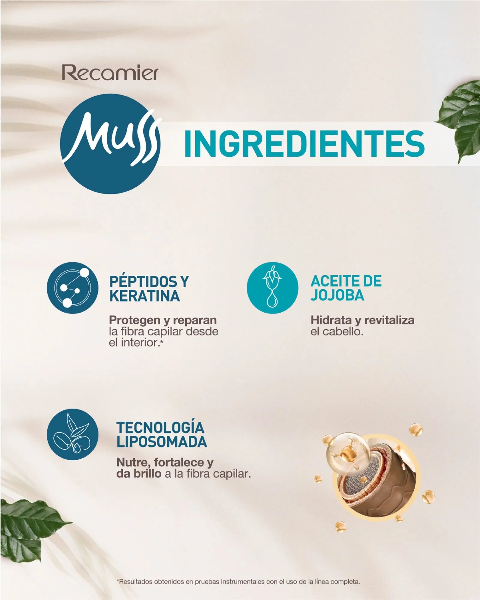 Shampoo Muss Rizos X400Ml Recamier