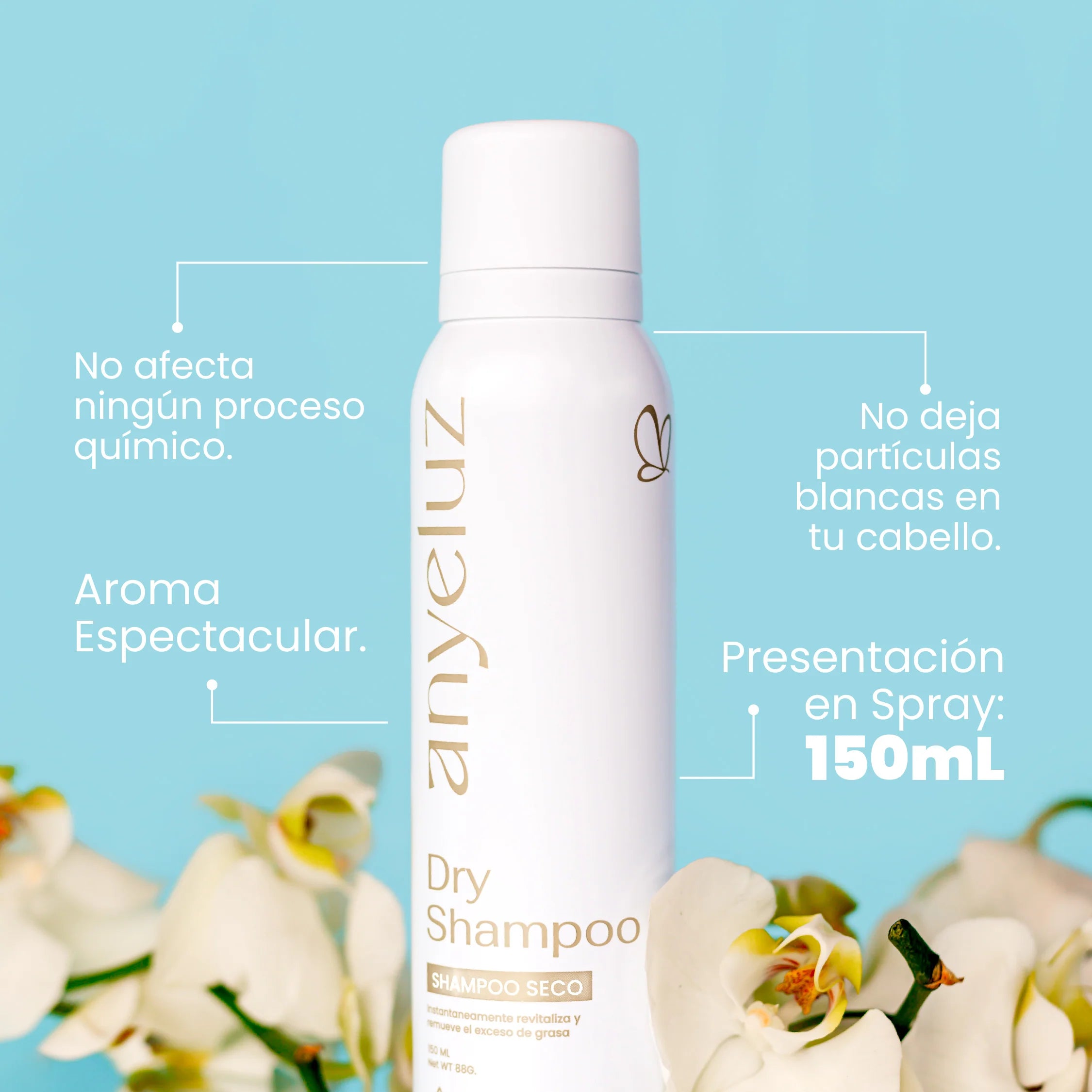 Shampoo Seco Refrescante Anyeluz 150 ml